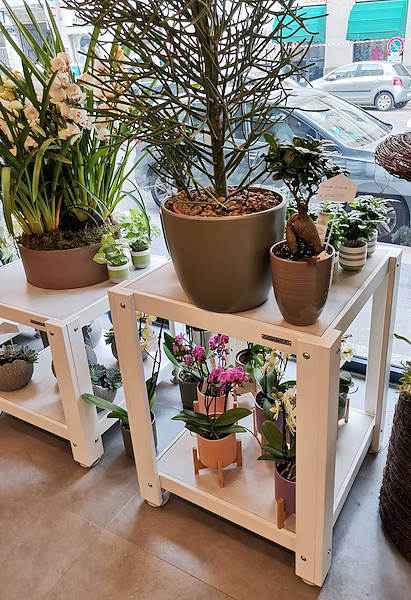 Die Oasi dei fiori in Mailand erhält ein neues, junges und elegantes Layout