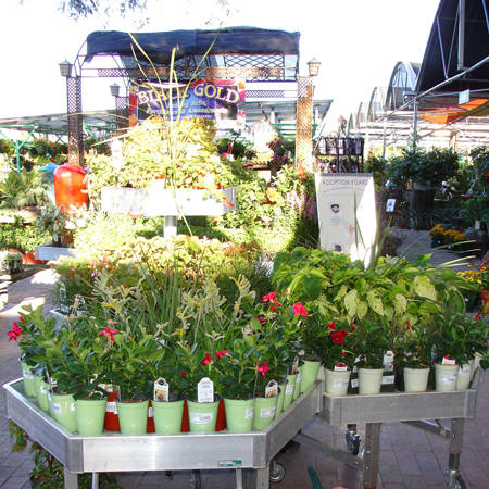 Die Verkaufstische von Orlandelli in Arizona