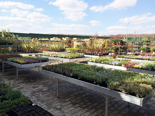 Eines der Geheimnisse um in Blumenzucht zu verdienen