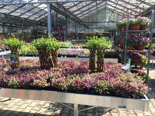 Eines der Geheimnisse um in Blumenzucht zu verdienen