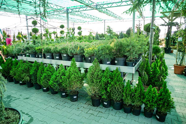 Outdoor
