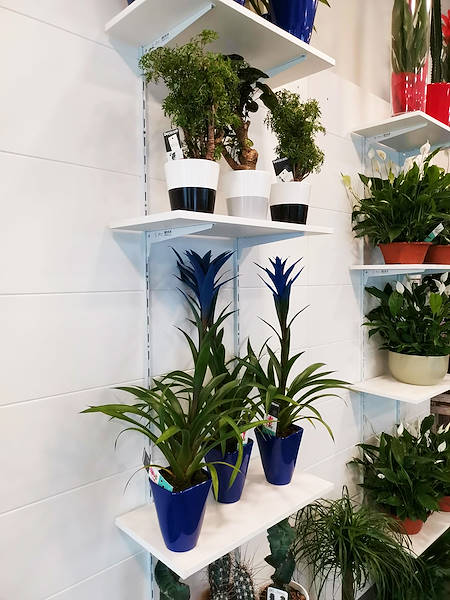 El Oasi dei fiori de Milán se renueva con un diseño juvenil y elegante
