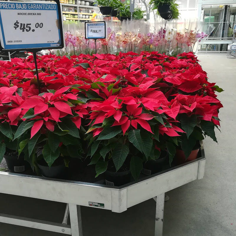 End Cap für Alu-Verkaufstisch