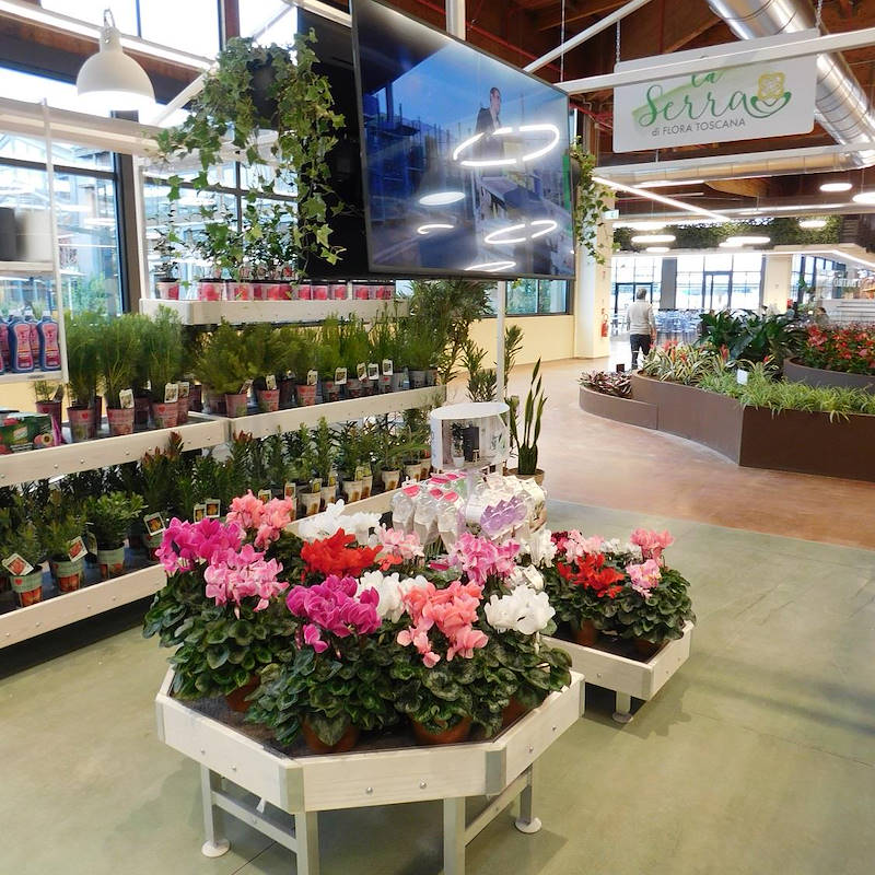 End cap Holzlinie AMOR