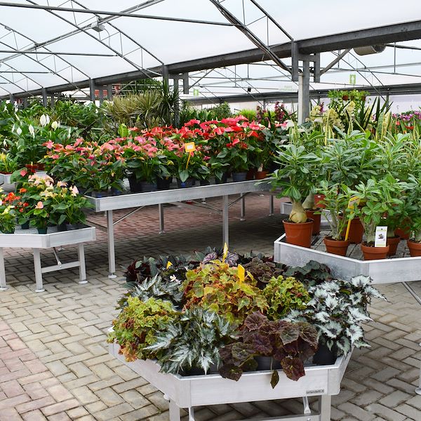 Der neue Look von Garden Frediani