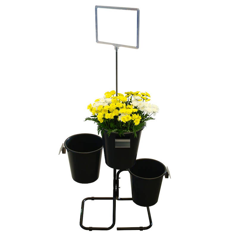 Flora 2+1