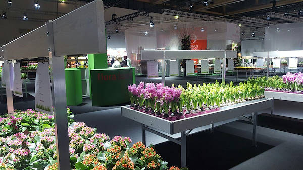 Floradecora 2017