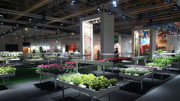 Floradecora 2017