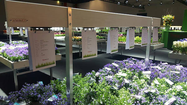 Floradecora 2017