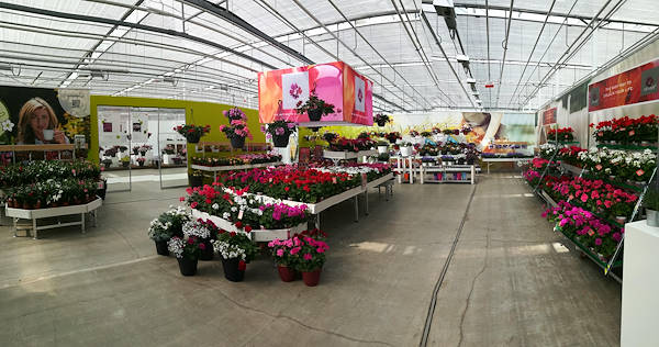 FlowerTrials 2017