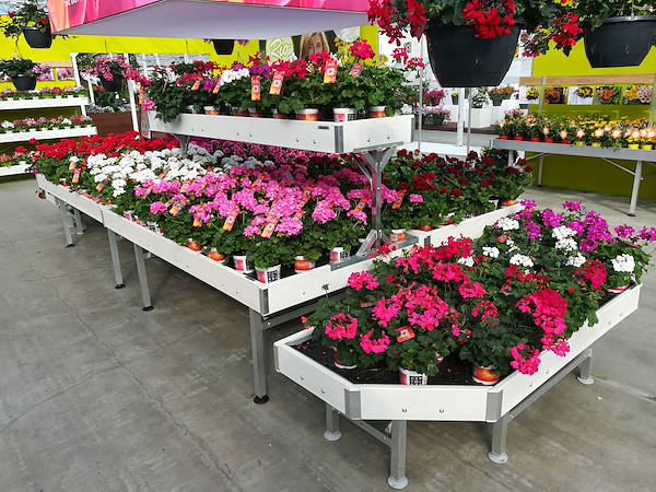 FlowerTrials 2017