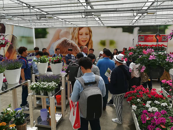 FlowerTrials 2017