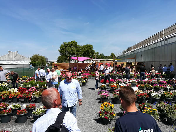FlowerTrials 2017