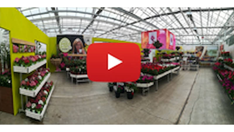 FlowerTrials 2017