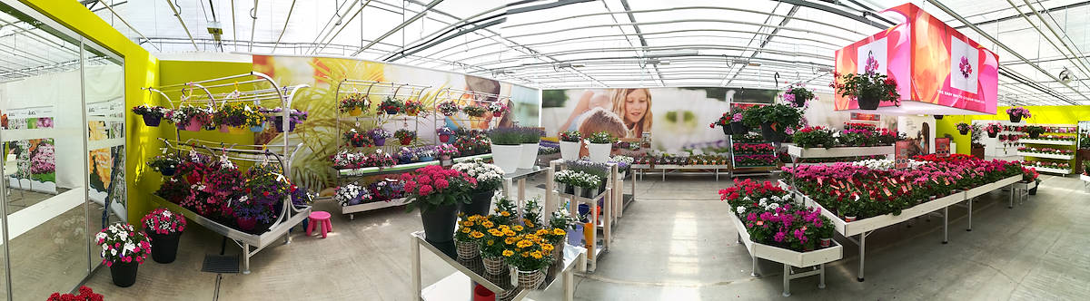 FlowerTrials 2017