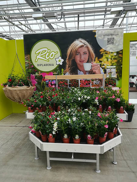 FlowerTrials 2017