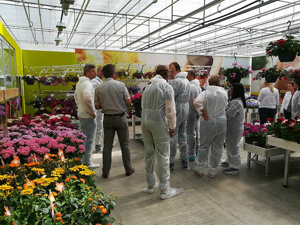 FlowerTrials 2017