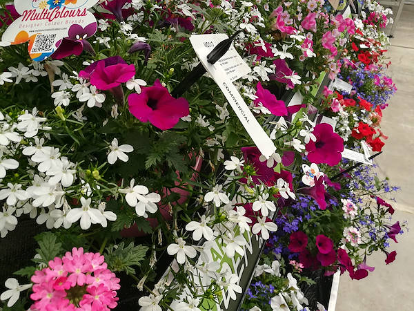 FlowerTrials 2017