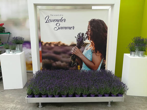 FlowerTrials 2017