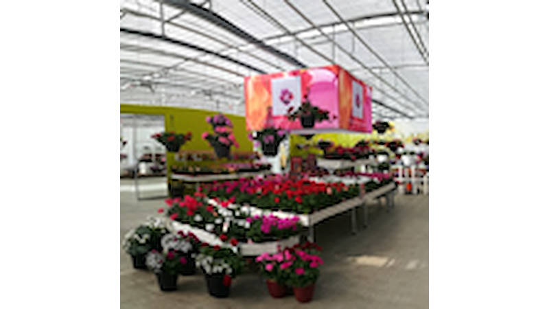 FlowerTrials 2017