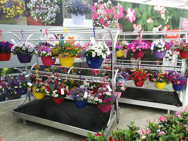 FlowerTrials 2018