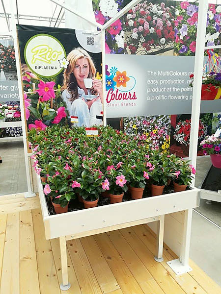 FlowerTrials 2018