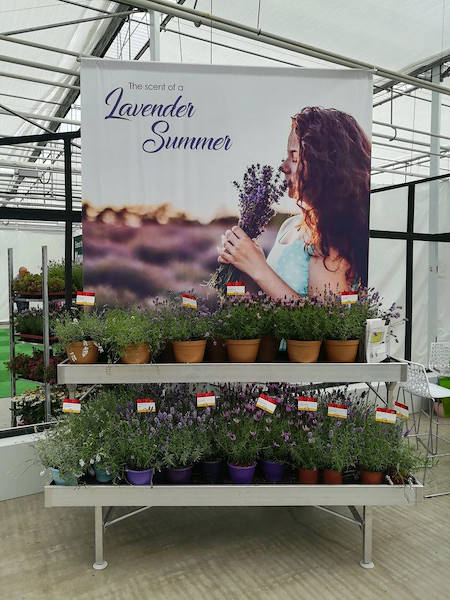 FlowerTrials 2018