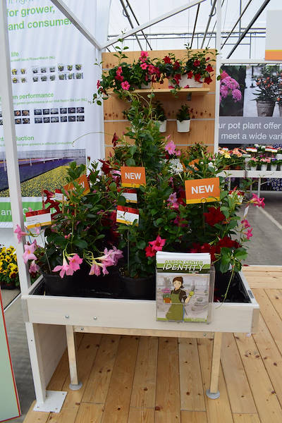 FlowerTrials 2018