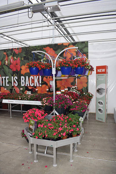 FlowerTrials 2018
