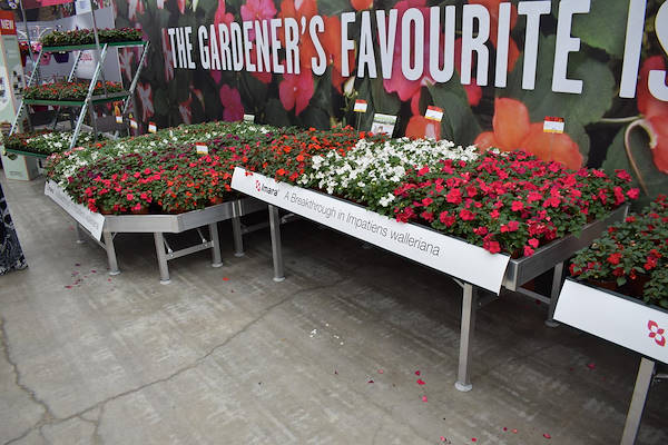 FlowerTrials 2018