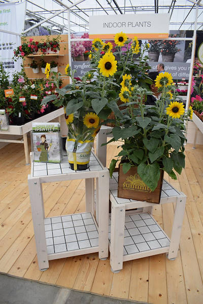 FlowerTrials 2018