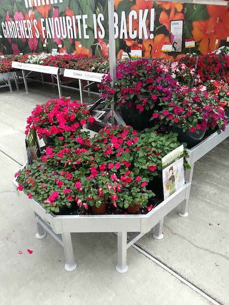FlowerTrials 2018