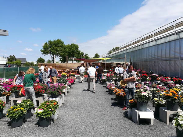 FlowerTrials 2018