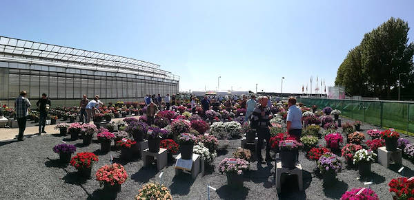 FlowerTrials 2018