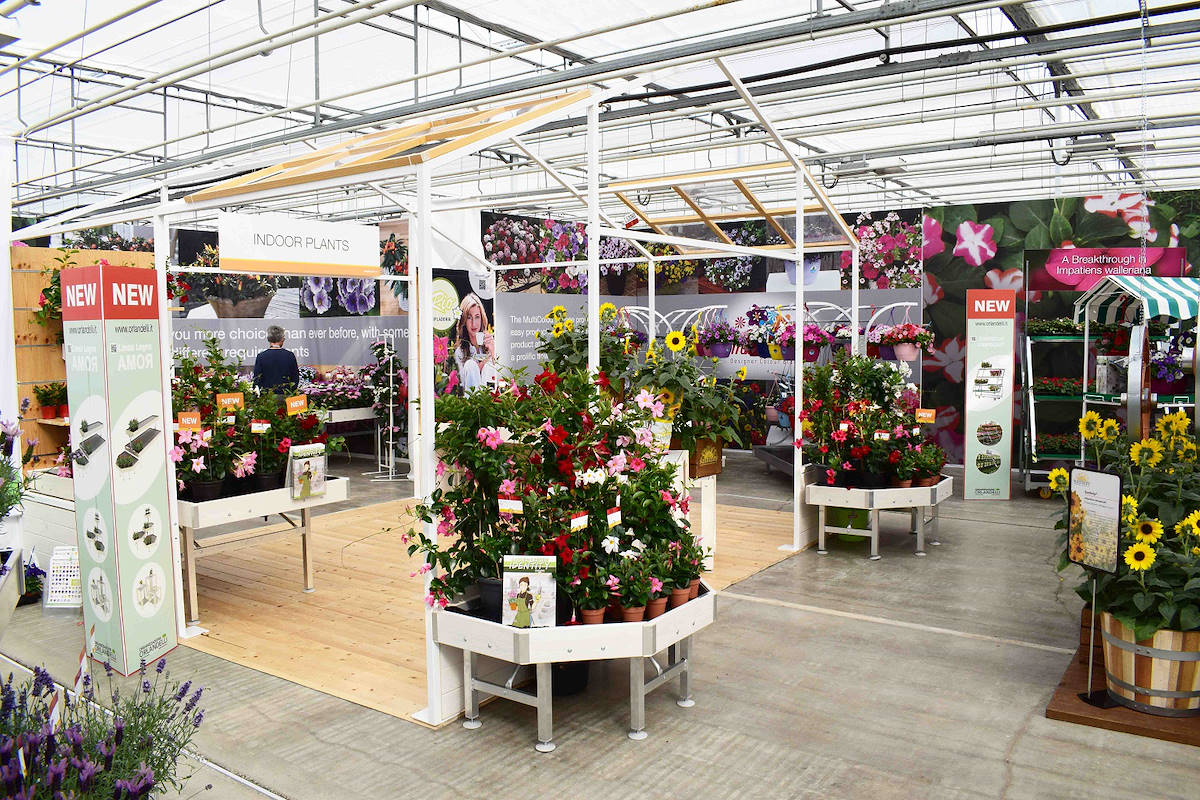 Invernadero – Garden Center Identity