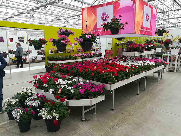 FlowerTrials 2018