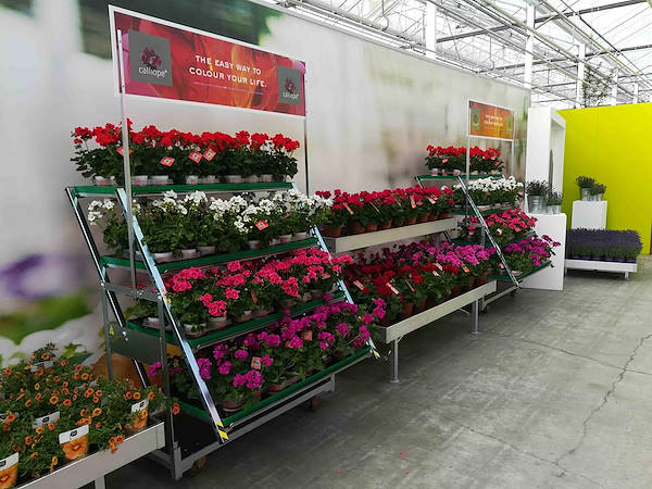 FlowerTrials 2018