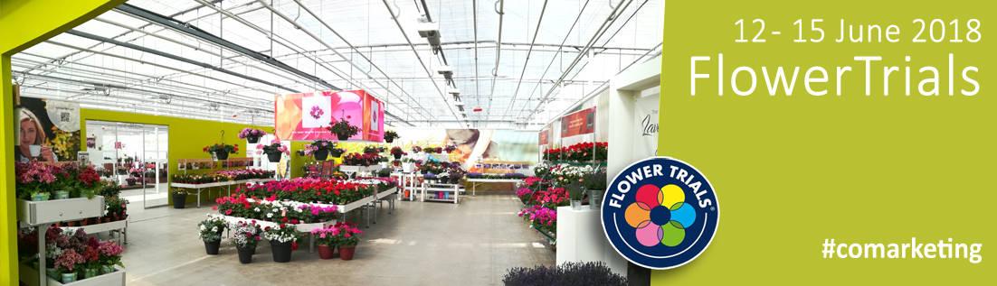 Ко-маркетинг между Orlandelli и Syngenta представит новые разновидности и новые концептуальные концепции для продажи Растений и Цветов.