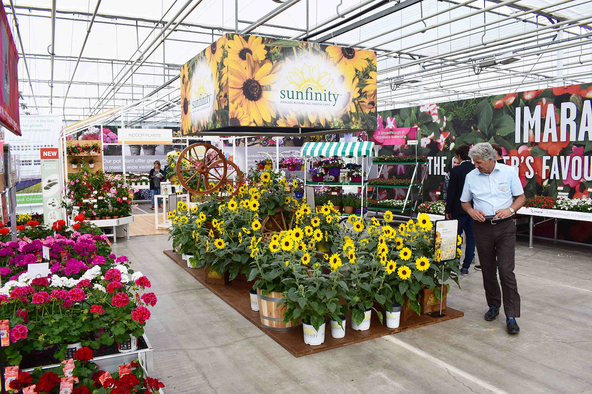 Individuelle szenografische Inseln