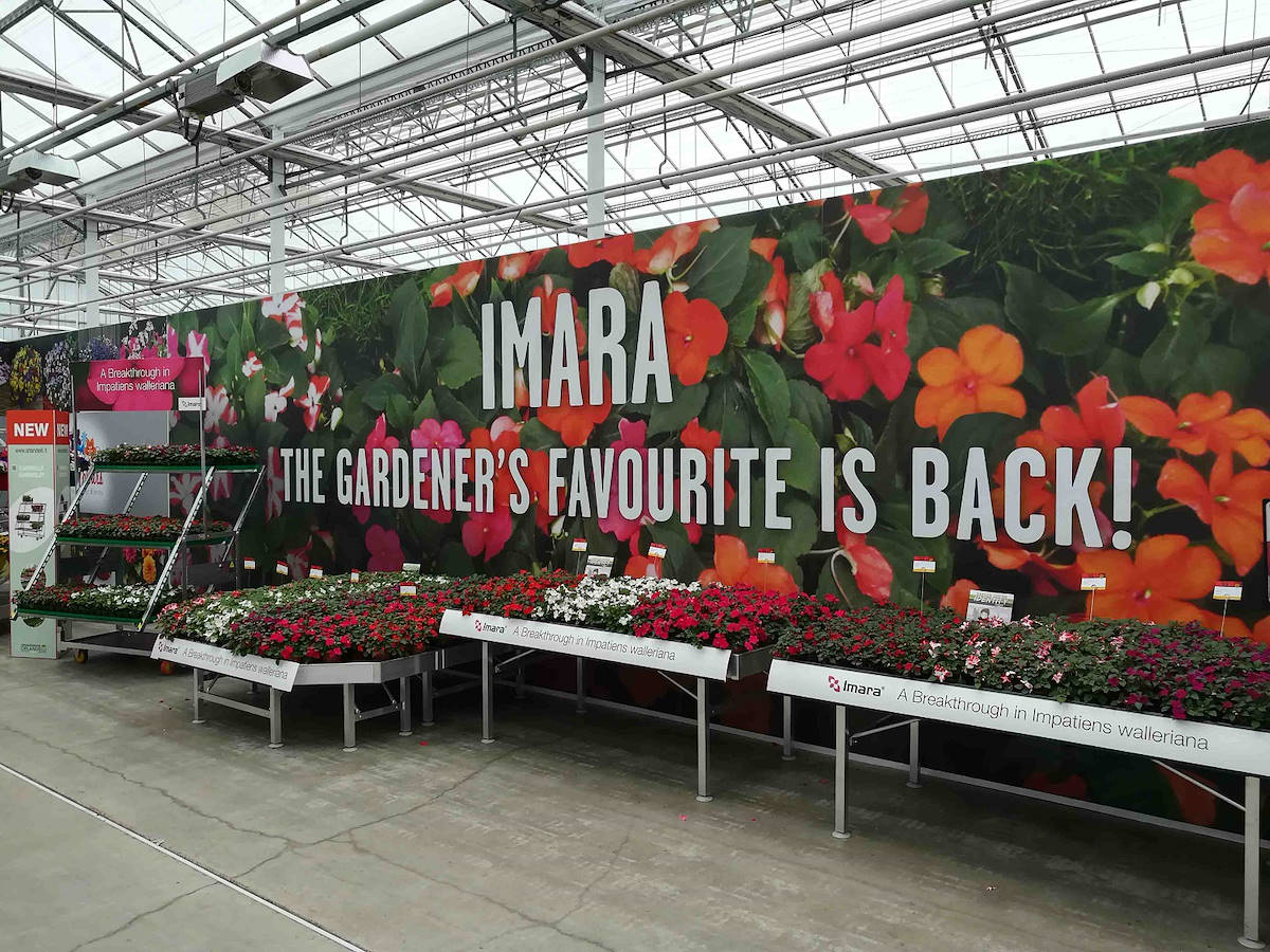 Kommunikationsgrafik