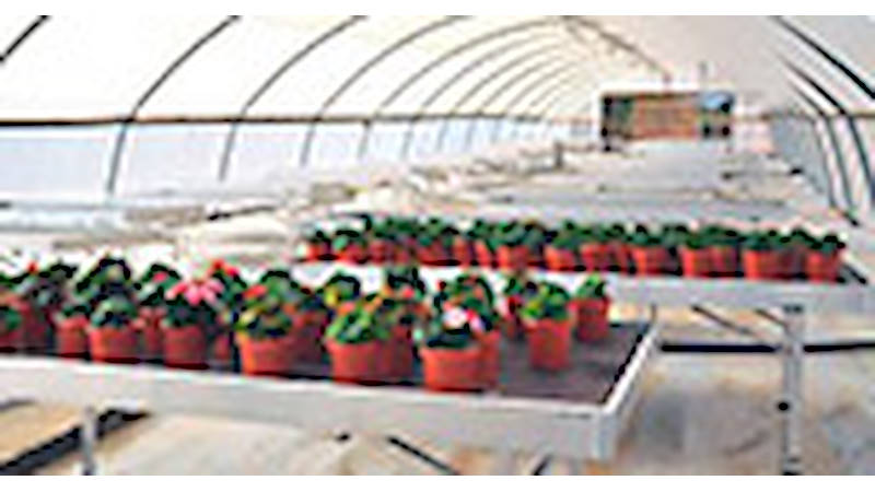 Fourniture bancs pour fleurs et plantes à une grande entreprise israélienne