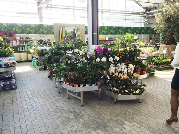 Gallery Garden Center Design