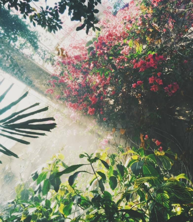 Garden Trends 2018 Report - Erster Teil