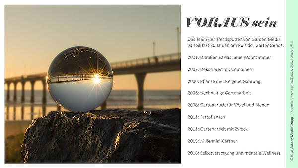 Pag 3 / 49 - GTR 2019