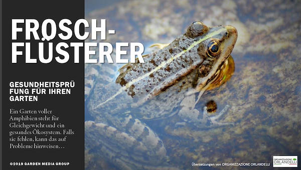 Garden Trends 2020 Report - Dritter Teil