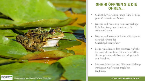 Garden Trends 2020 Report - Dritter Teil