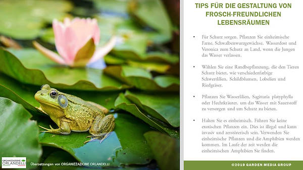 Garden Trends 2020 Report - Dritter Teil