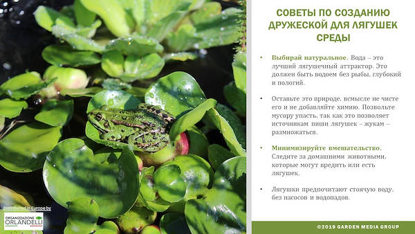 GARDEN TRENDS REPORT 2020-   третья часть