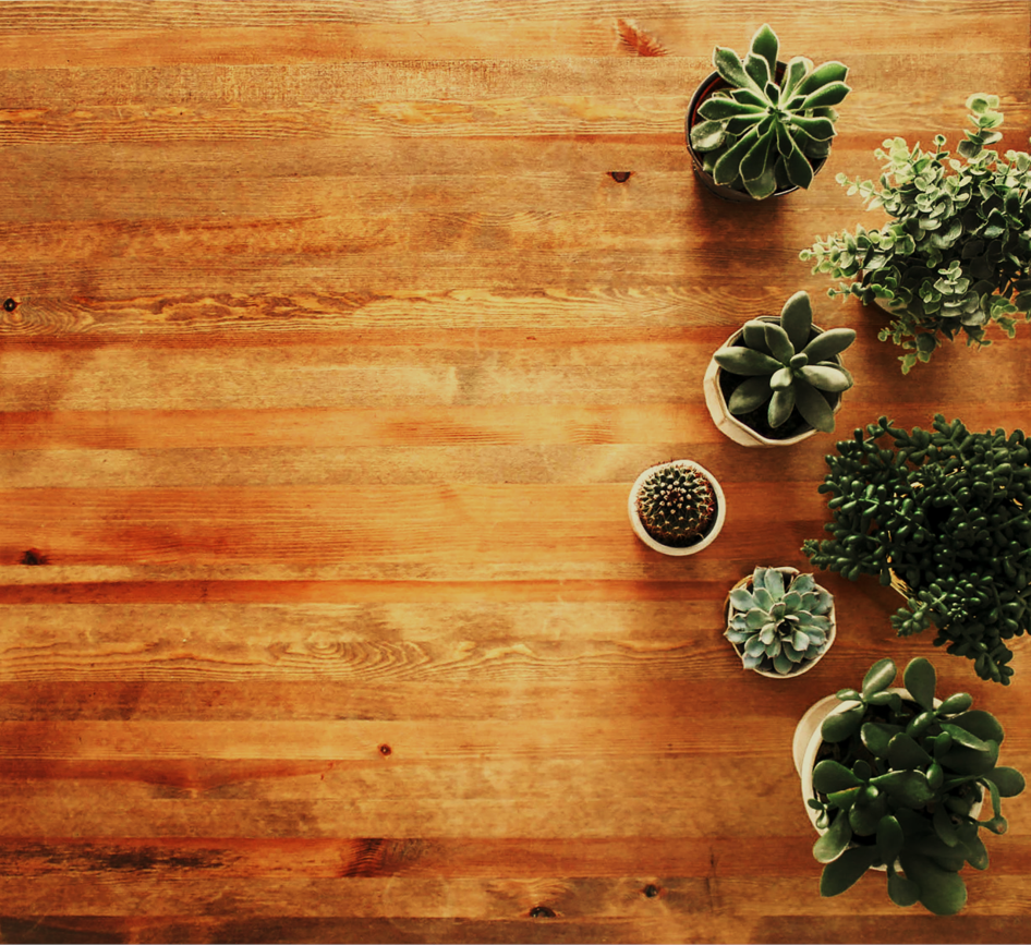 Impatient gratification - Seite 27