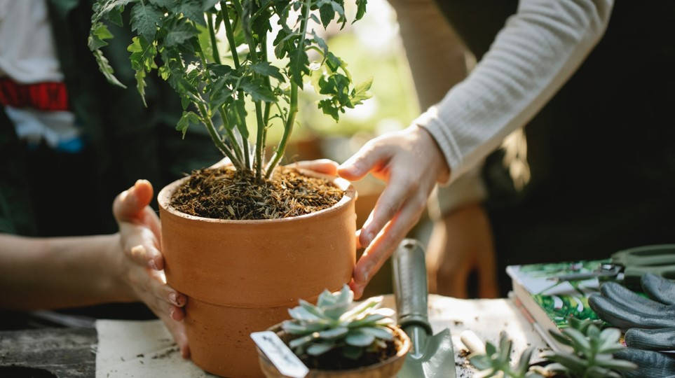 Die Lücke schließen - seite 20